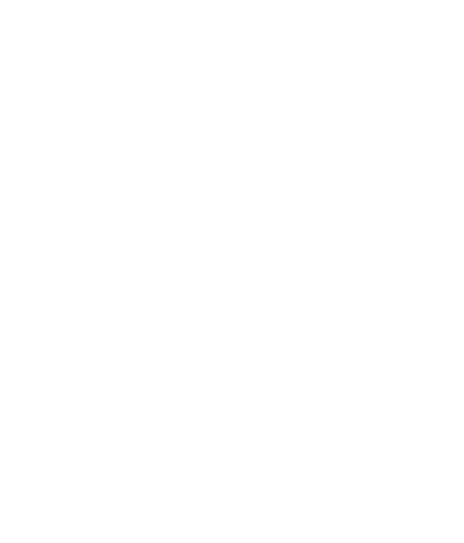 Ski and ski poles icon.